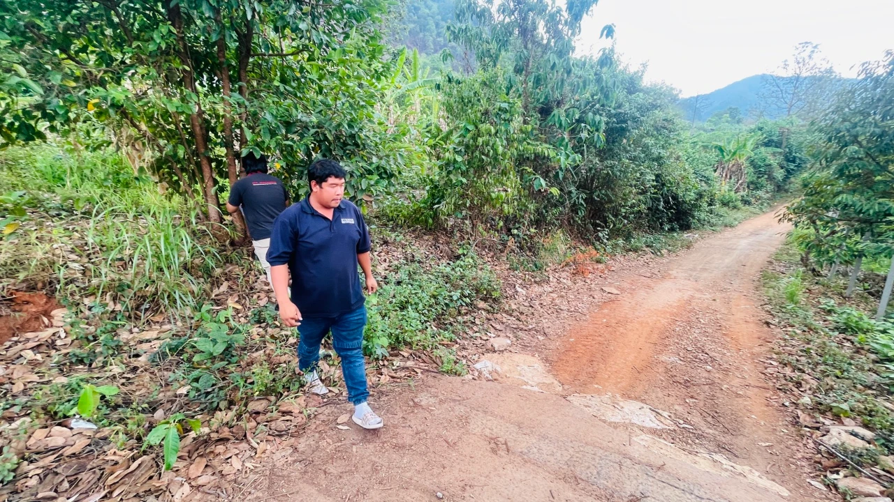 catalogs_file_186_57_57_597381.webp